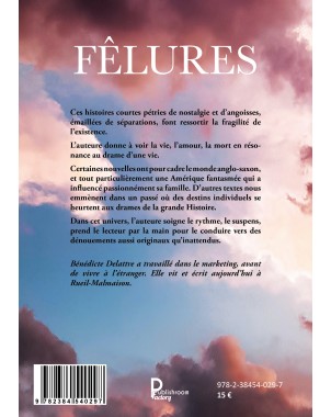 Fêlures de Bénédicte Delattre