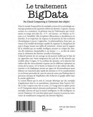 Le traitement BigData de Hadi HASHEM