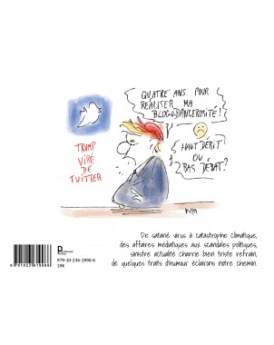 Chroniques dessinées de Miles