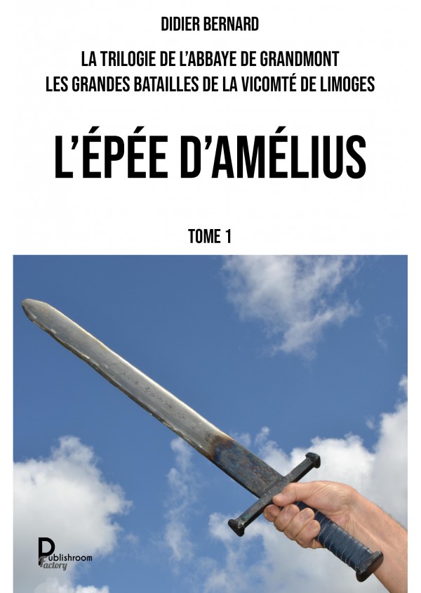 L'épée d'Amélius de Didier BERNARD