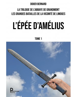 L'épée d'Amélius de Didier BERNARD