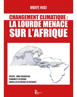 Changement Climatique : La lourde menace sur l'Afrique de Mbaye HADJ