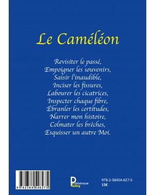 Le Caméléon de Gallard Armelle