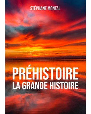 Préhistoire, la grande Histoire de Stéphane Montal