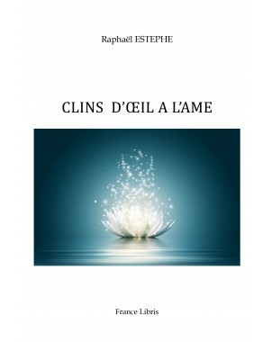 CLINS D'OEIL A L'AME de Raphaël ESTEPHE