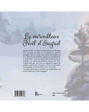 Le merveilleux Noël d'Ingrid de Jean-Marc LE DREAN - Illustrations d'AURORE PAYELLE -