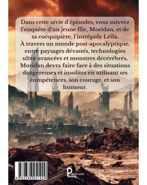 LES  AVENTURES DE LÉILA ET MORIDAN de L. S. MARTINS