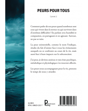 PEURS POUR TOUS Carnet 2 de Didier Bensa