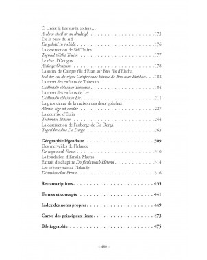 DIEUX, HÉROS , ROIS ET SAINTS.Mythes, sagas et littérature épique de l'Irlande ancienne. Livre 1 Aux origines de Léo Scaravella
