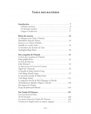 DIEUX, HÉROS , ROIS ET SAINTS.Mythes, sagas et littérature épique de l'Irlande ancienne. Livre 1 Aux origines de Léo Scaravella