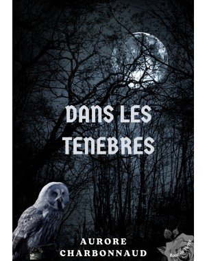 Dans les ténèbres de Aurore CHARBONNAUD