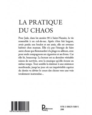 La pratique du chaos de Hervé RICHARD