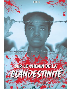 Sur le chemin de la clandestinité de Josie-K