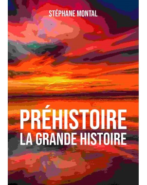 Préhistoire, la grande Histoire
