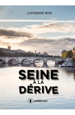 Seine à la dérive