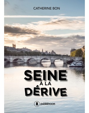 Seine à la dérive