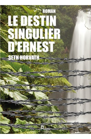 Le destin singulier d'Ernest de Seth HORVAT