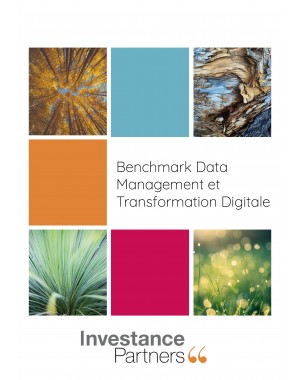 Benchmark Data Management et Transformation Digitale de Investance Partners 