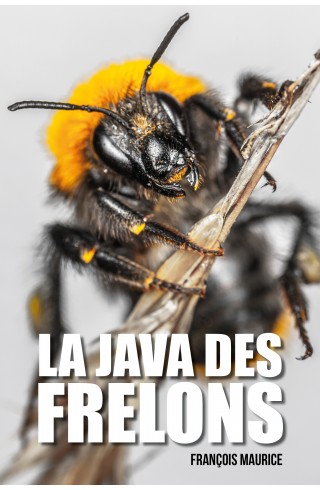 La java des frelons de François Maurice