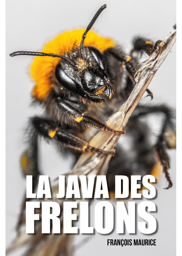 La java des frelons de François Maurice