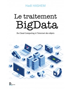 Le traitement Big Data de Hadi HASHEM