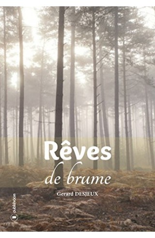 "Rêves de brume" de Gérard Desjeux