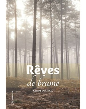 "Rêves de brume" de Gérard Desjeux